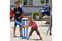 Cricket por el cambio en Serbia